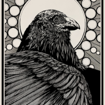 The Magnificent Raven